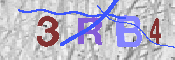 Immagine CAPTCHA