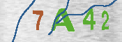 Immagine CAPTCHA