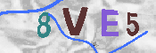 Immagine CAPTCHA