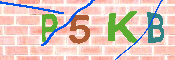 Immagine CAPTCHA