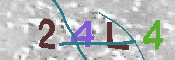 Immagine CAPTCHA