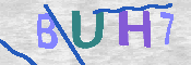 Immagine CAPTCHA