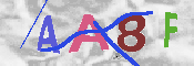 Immagine CAPTCHA