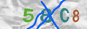 Immagine CAPTCHA