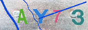 Immagine CAPTCHA