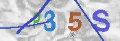 Immagine CAPTCHA