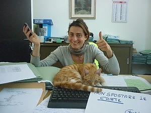 gatto giove