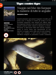 Tigre contro tigre - Viaggio nel Mar dei Sargassi la nurserie di tutte le anguille - di Margherita d'Amico - Repubblica sera