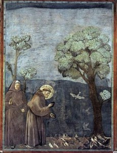 La predica agli uccelli di Giotto - Storie di San Francesco nella Basilica Superiore di Assisi